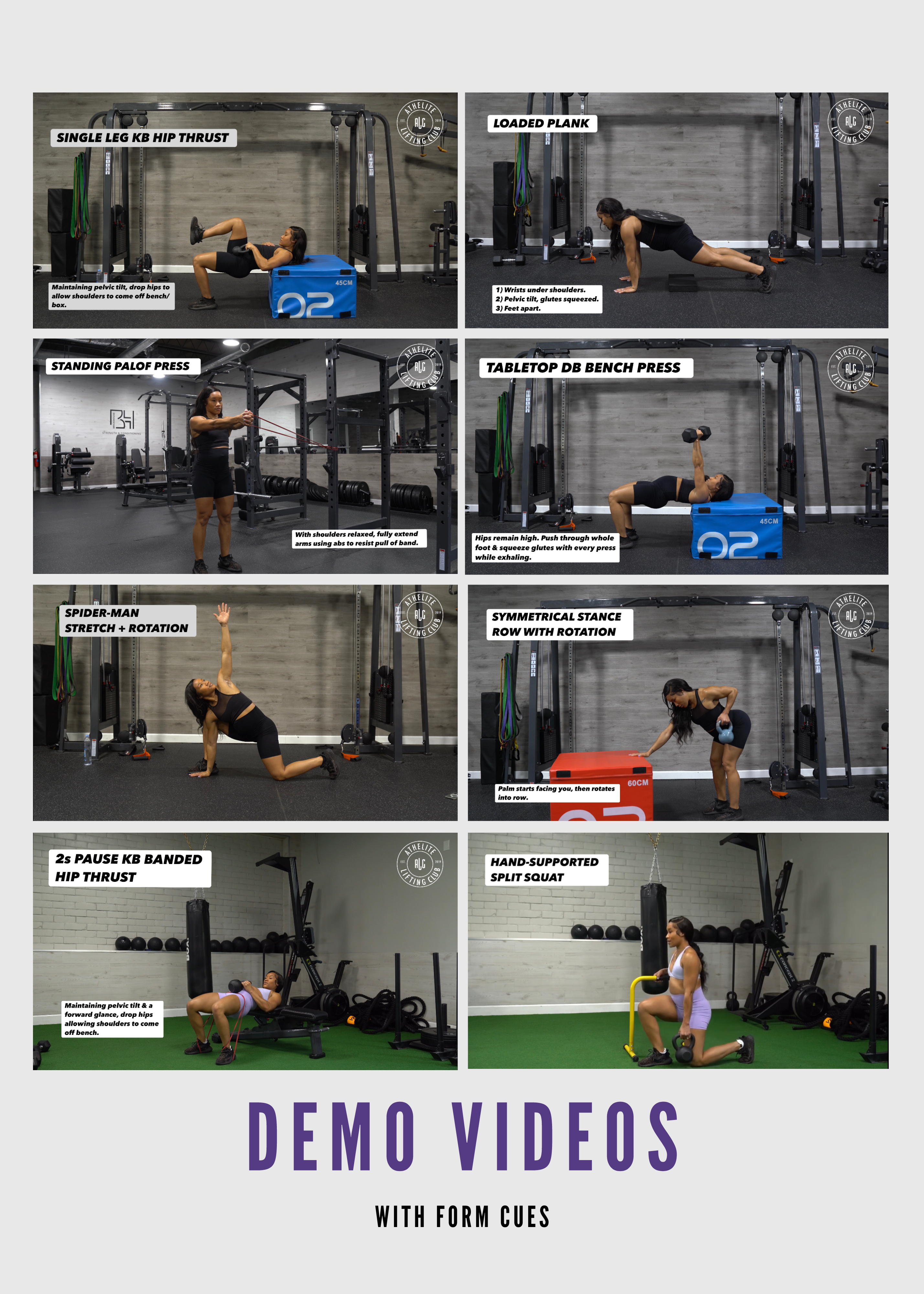PregFit