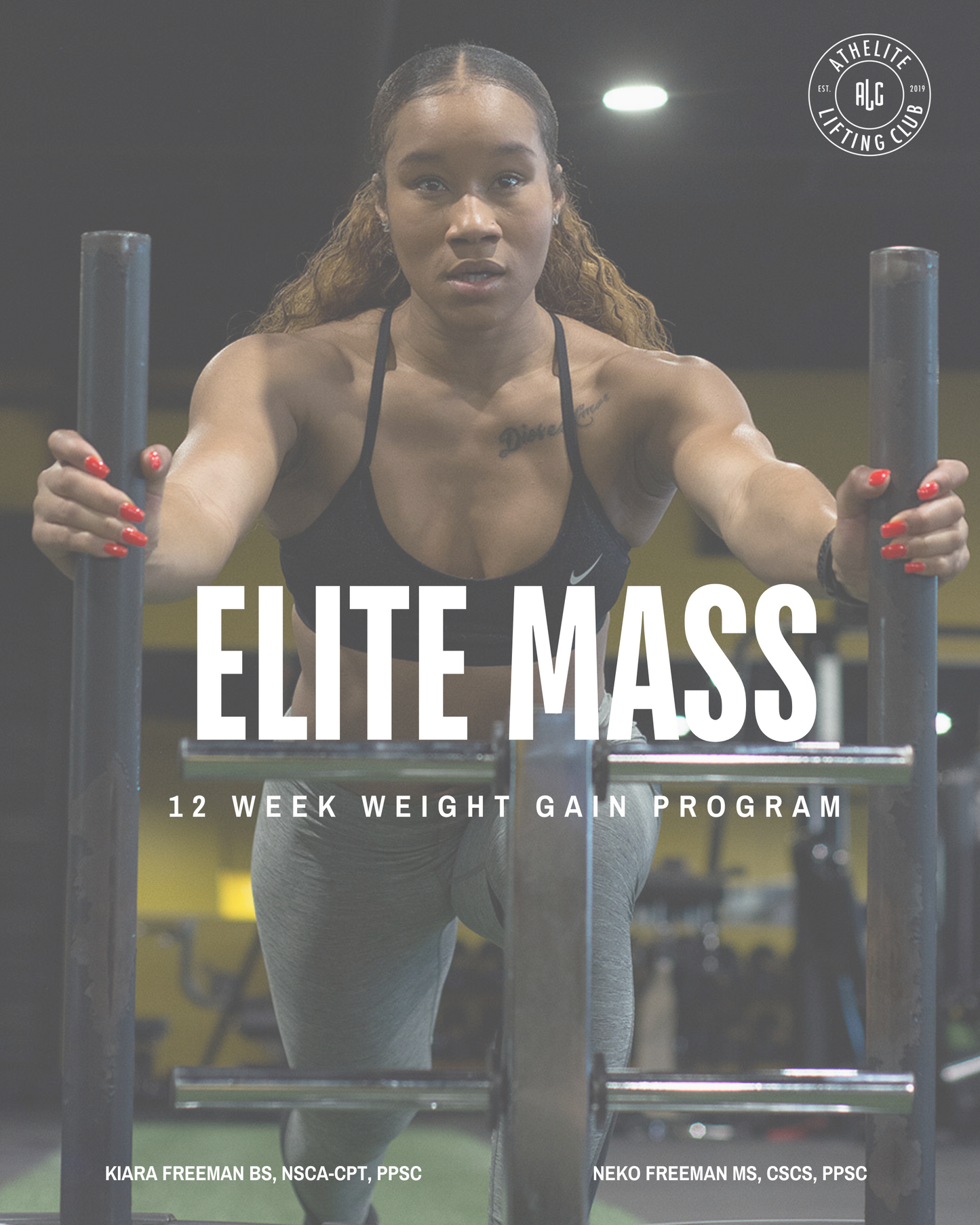 Elite Mass: Weight Gain